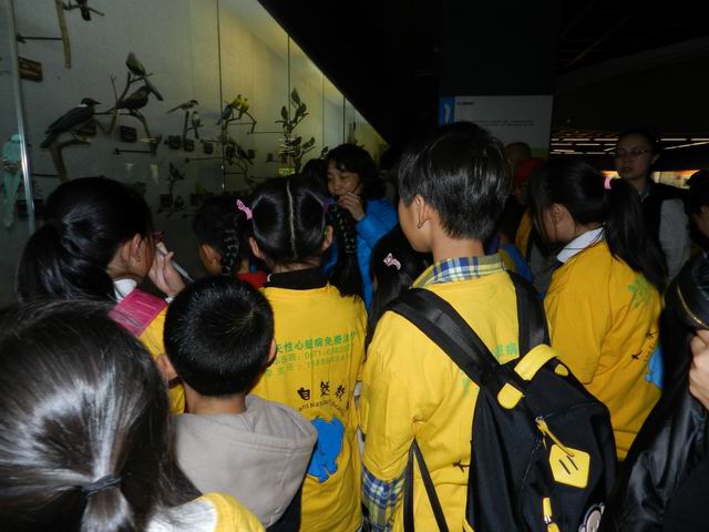 电子游戏app下载安装