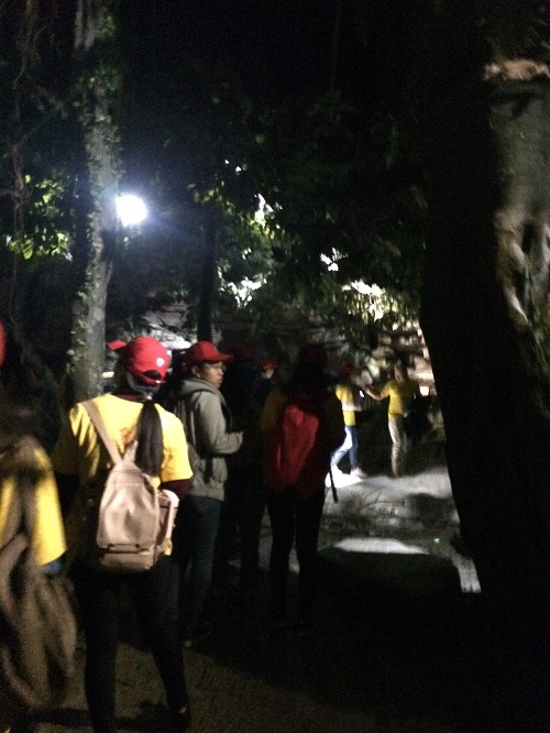 电子游戏app下载安装