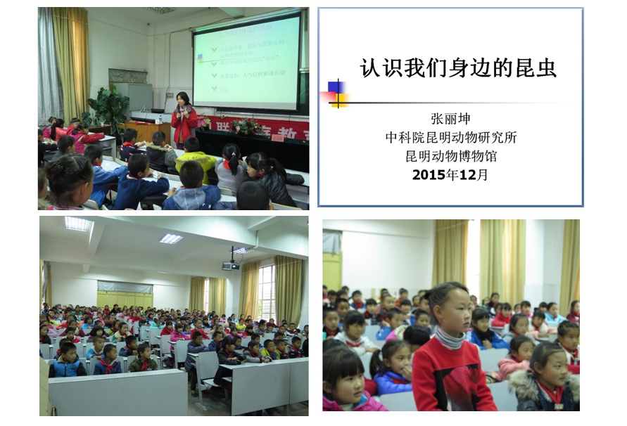 电子游戏app下载安装