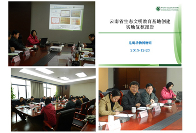 电子游戏app下载安装