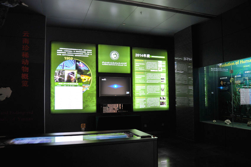 电子游戏app下载安装