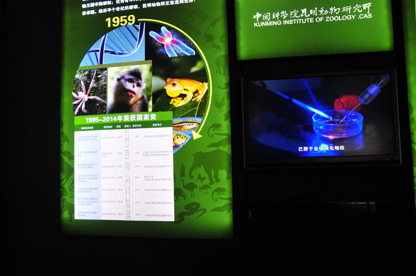 电子游戏app下载安装