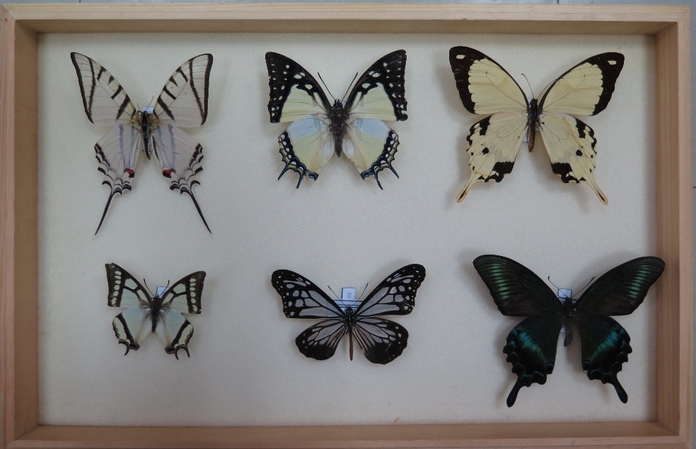 电子游戏app下载安装