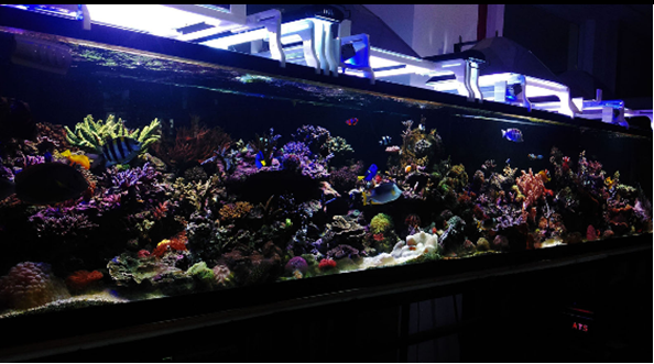 电子游戏app下载安装