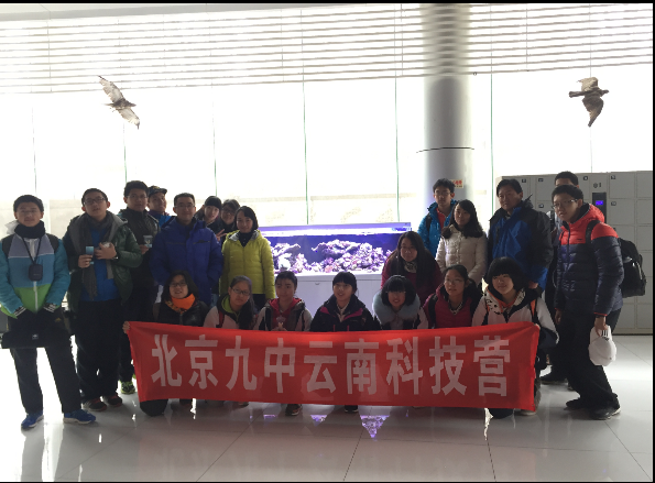 电子游戏app下载安装