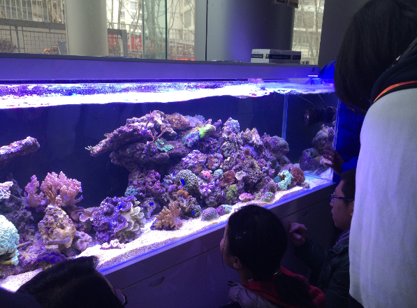 电子游戏app下载安装