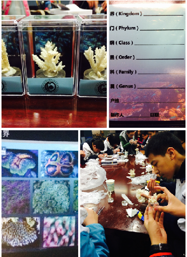 电子游戏app下载安装