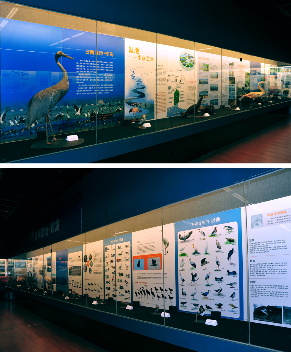 电子游戏app下载安装