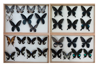 电子游戏app下载安装