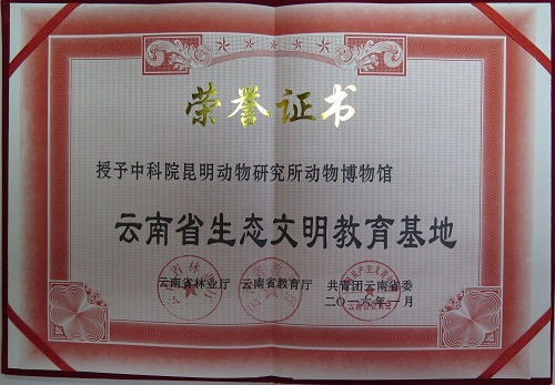 电子游戏app下载安装