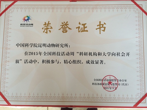 电子游戏app下载安装