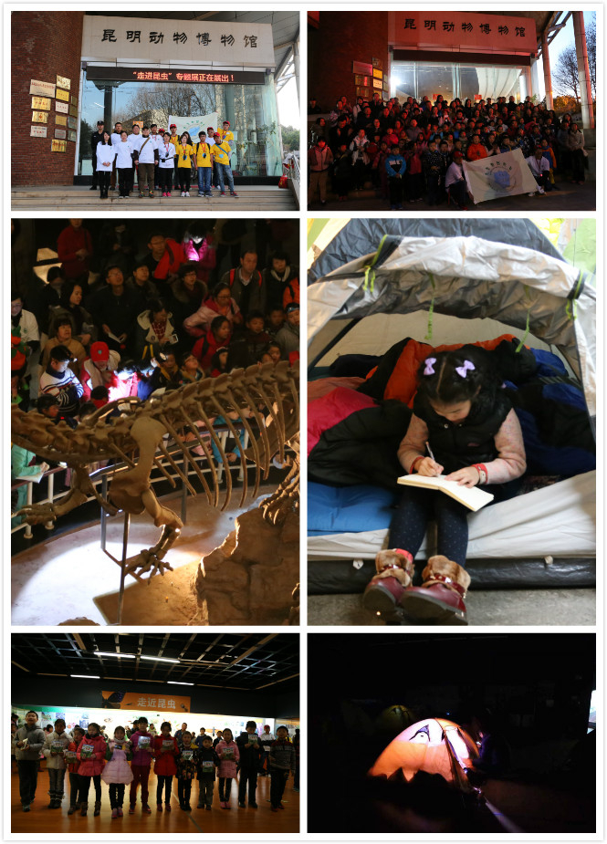 电子游戏app下载安装