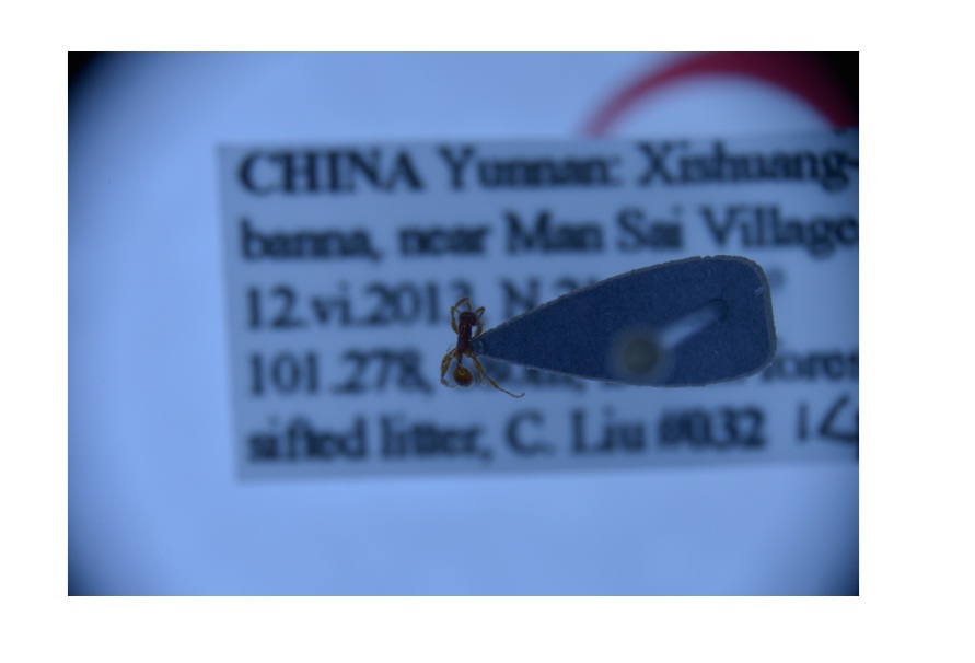 电子游戏app下载安装