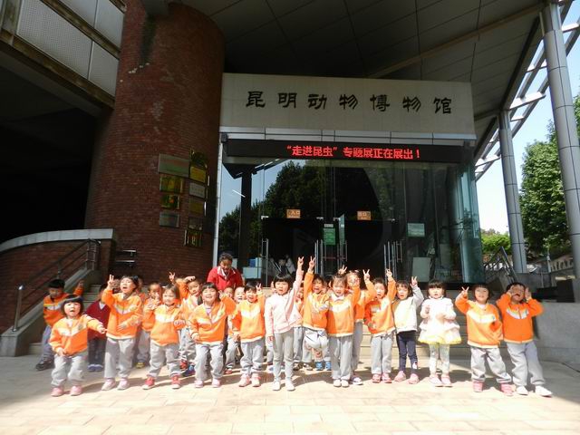 电子游戏app下载安装