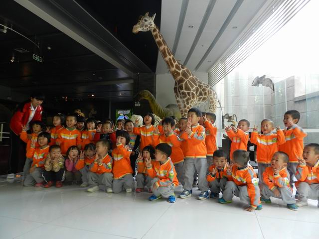 电子游戏app下载安装