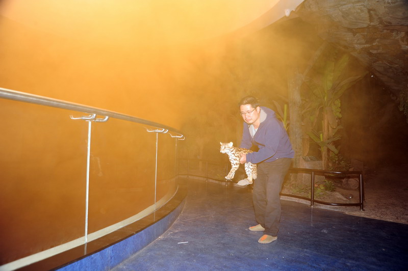 电子游戏app下载安装