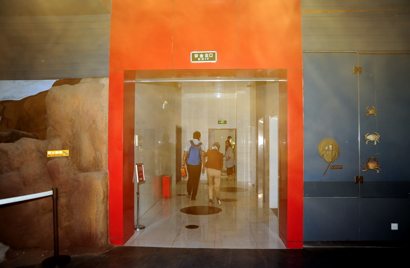 电子游戏app下载安装