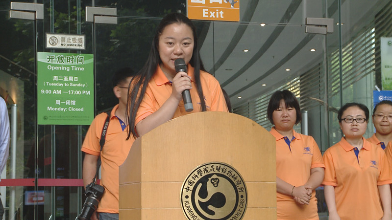 电子游戏app下载安装