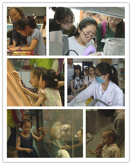 电子游戏app下载安装