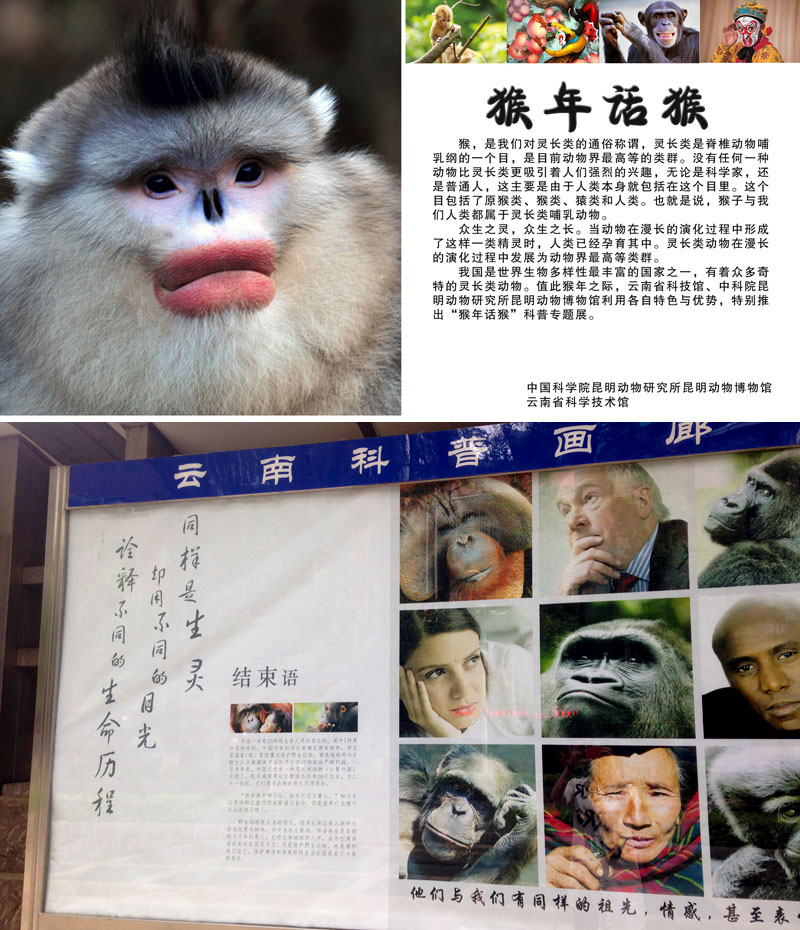 电子游戏app下载安装