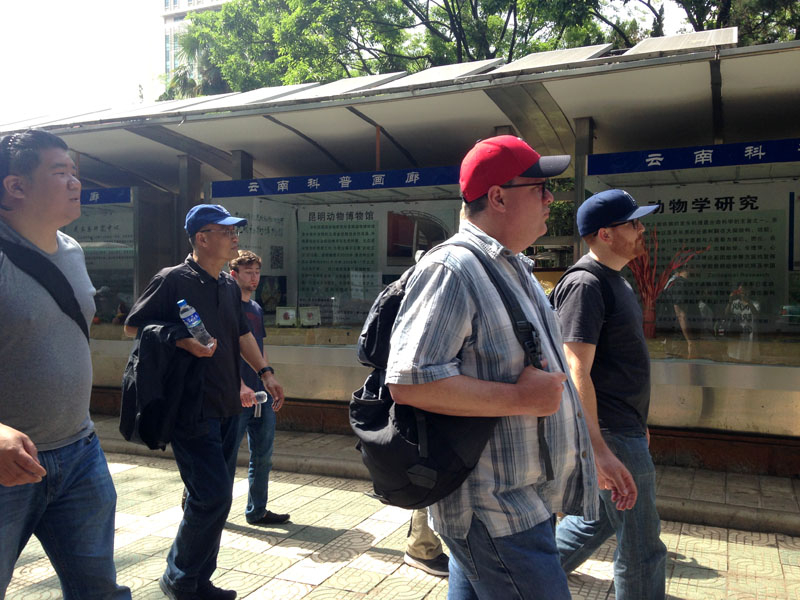 电子游戏app下载安装