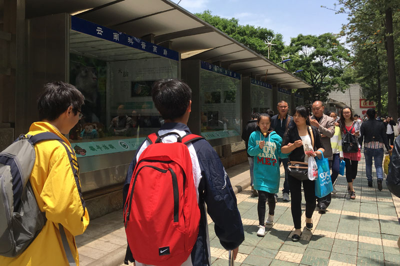 电子游戏app下载安装