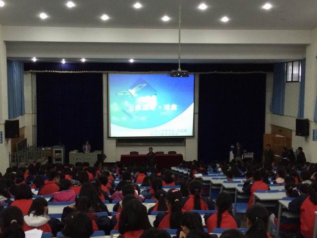 电子游戏app下载安装