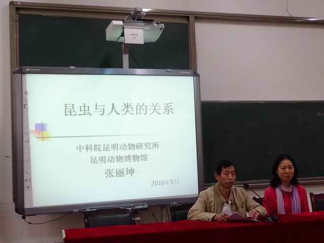 电子游戏app下载安装