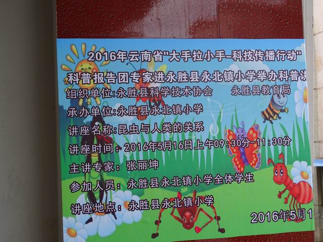 电子游戏app下载安装