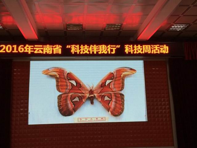 电子游戏app下载安装