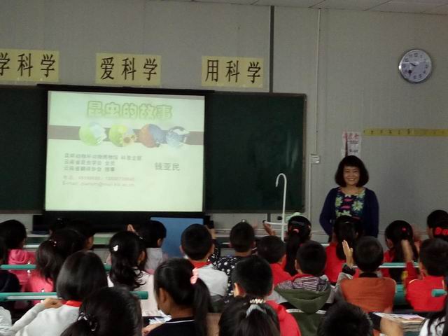 电子游戏app下载安装