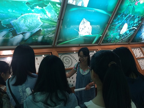 电子游戏app下载安装