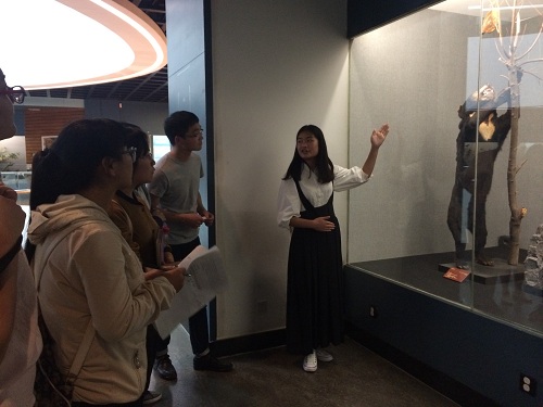 电子游戏app下载安装