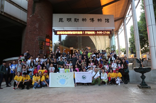 电子游戏app下载安装