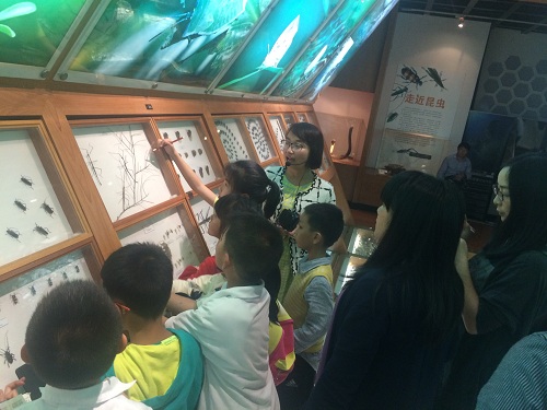 电子游戏app下载安装