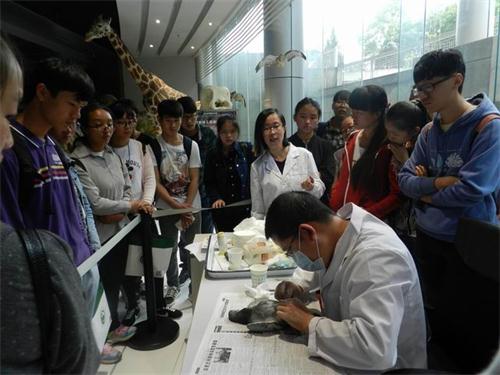 电子游戏app下载安装