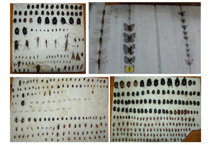 电子游戏app下载安装