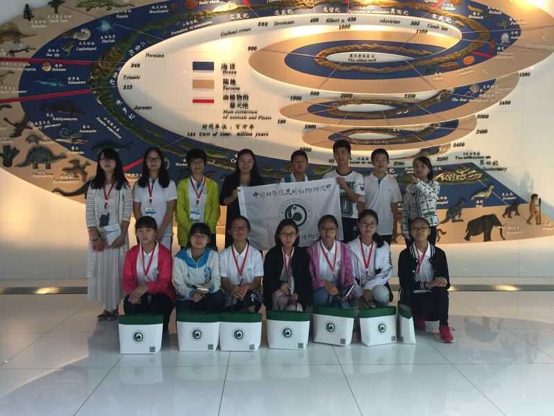 电子游戏app下载安装