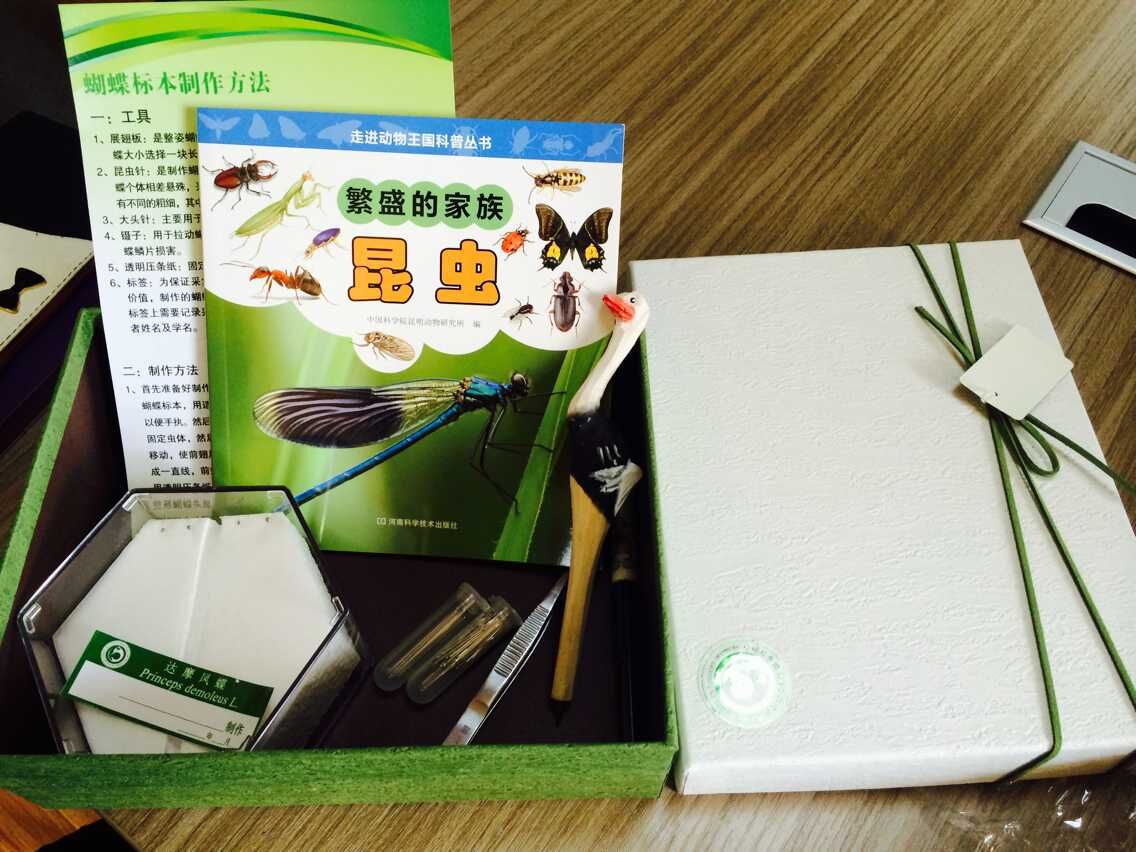 电子游戏app下载安装