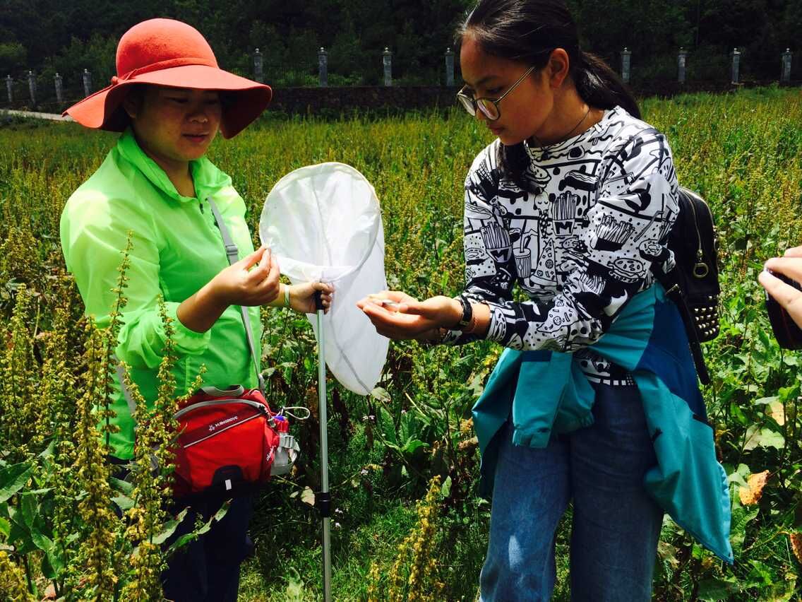 电子游戏app下载安装