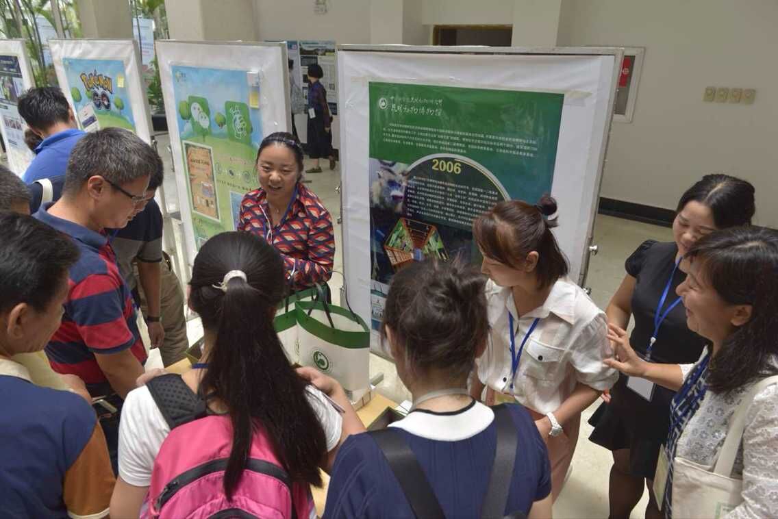 电子游戏app下载安装