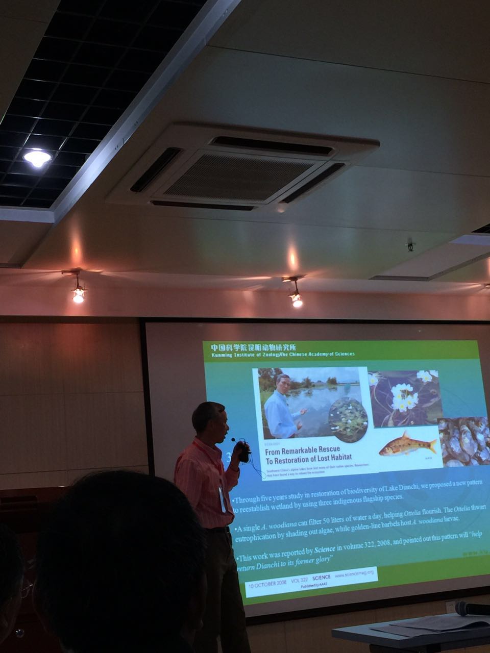 电子游戏app下载安装