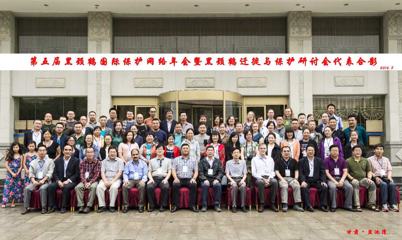 电子游戏app下载安装