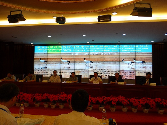 电子游戏app下载安装