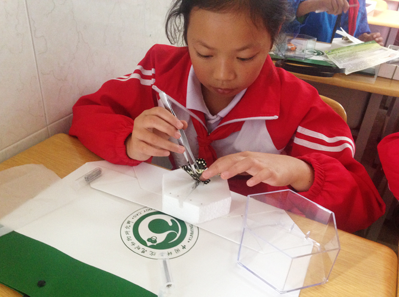 电子游戏app下载安装