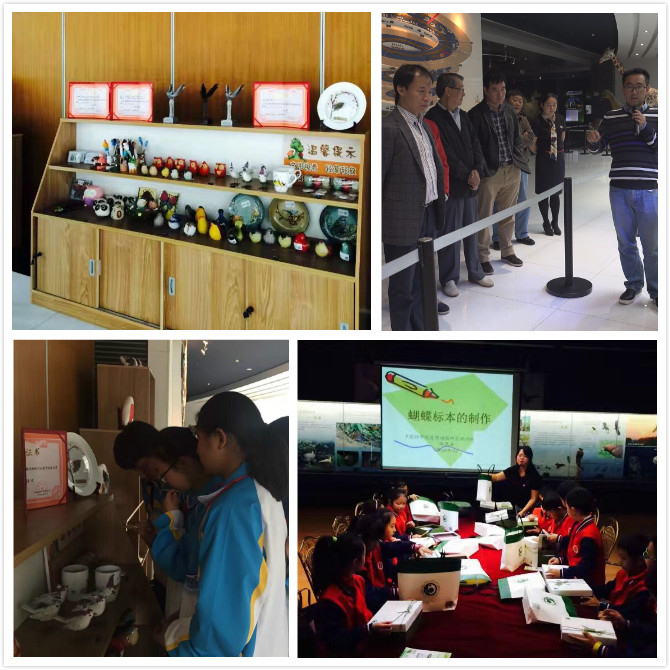 电子游戏app下载安装