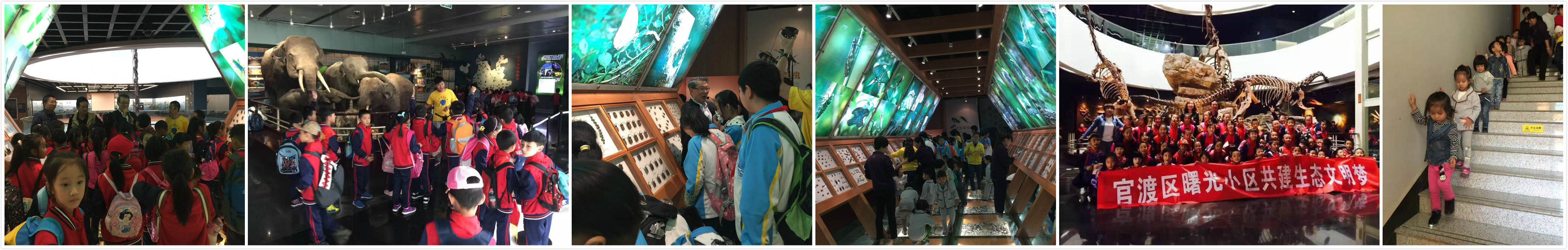 电子游戏app下载安装