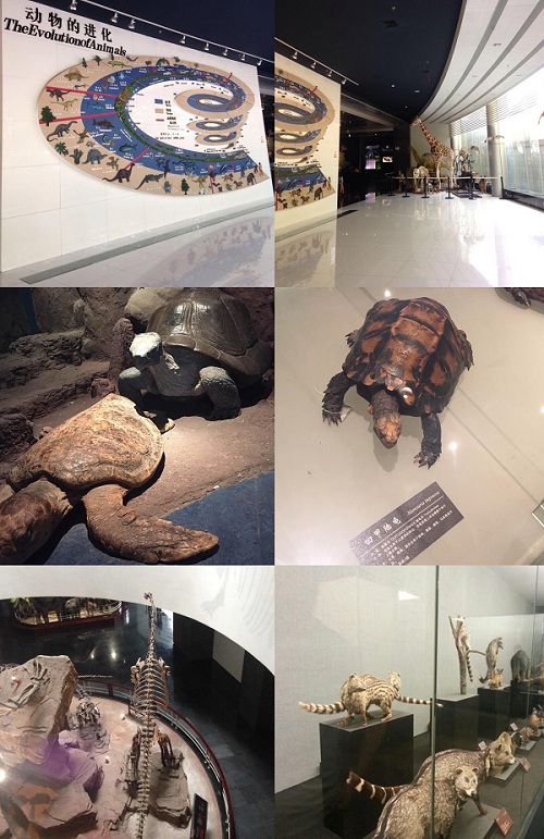 电子游戏app下载安装