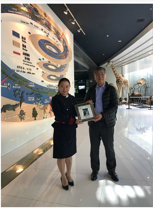 电子游戏app下载安装