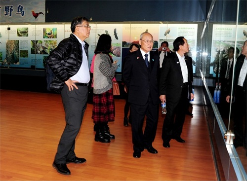 电子游戏app下载安装